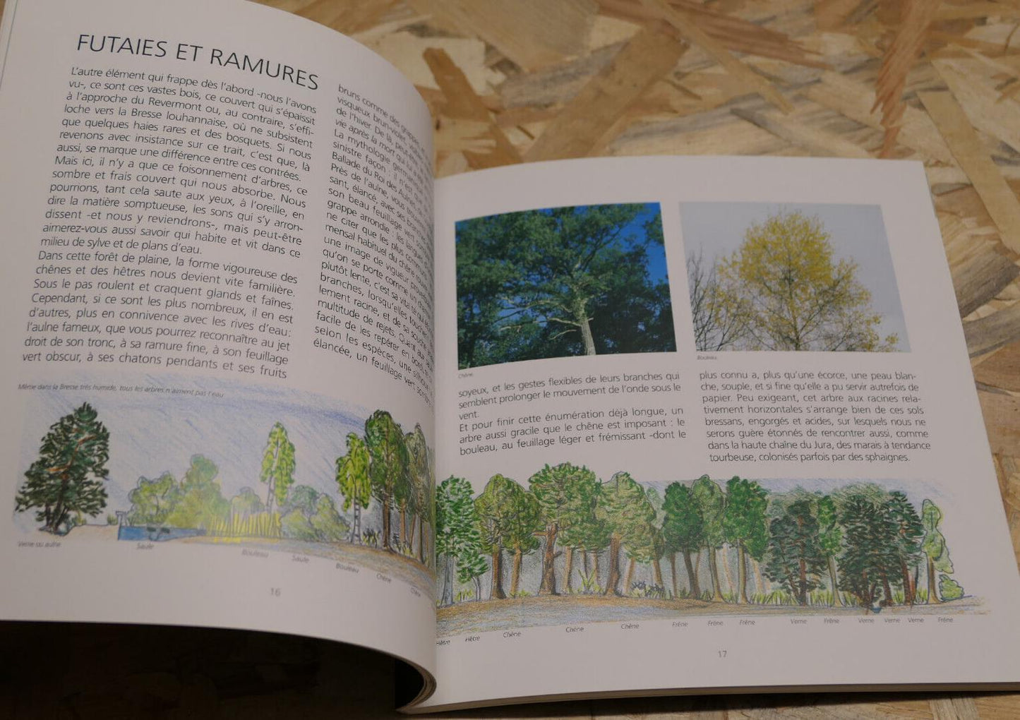VOYAGES EN BRESSE DU JURA / FRANCHE-COMTE NATURE PHOTOS PAYSAGES / 1993