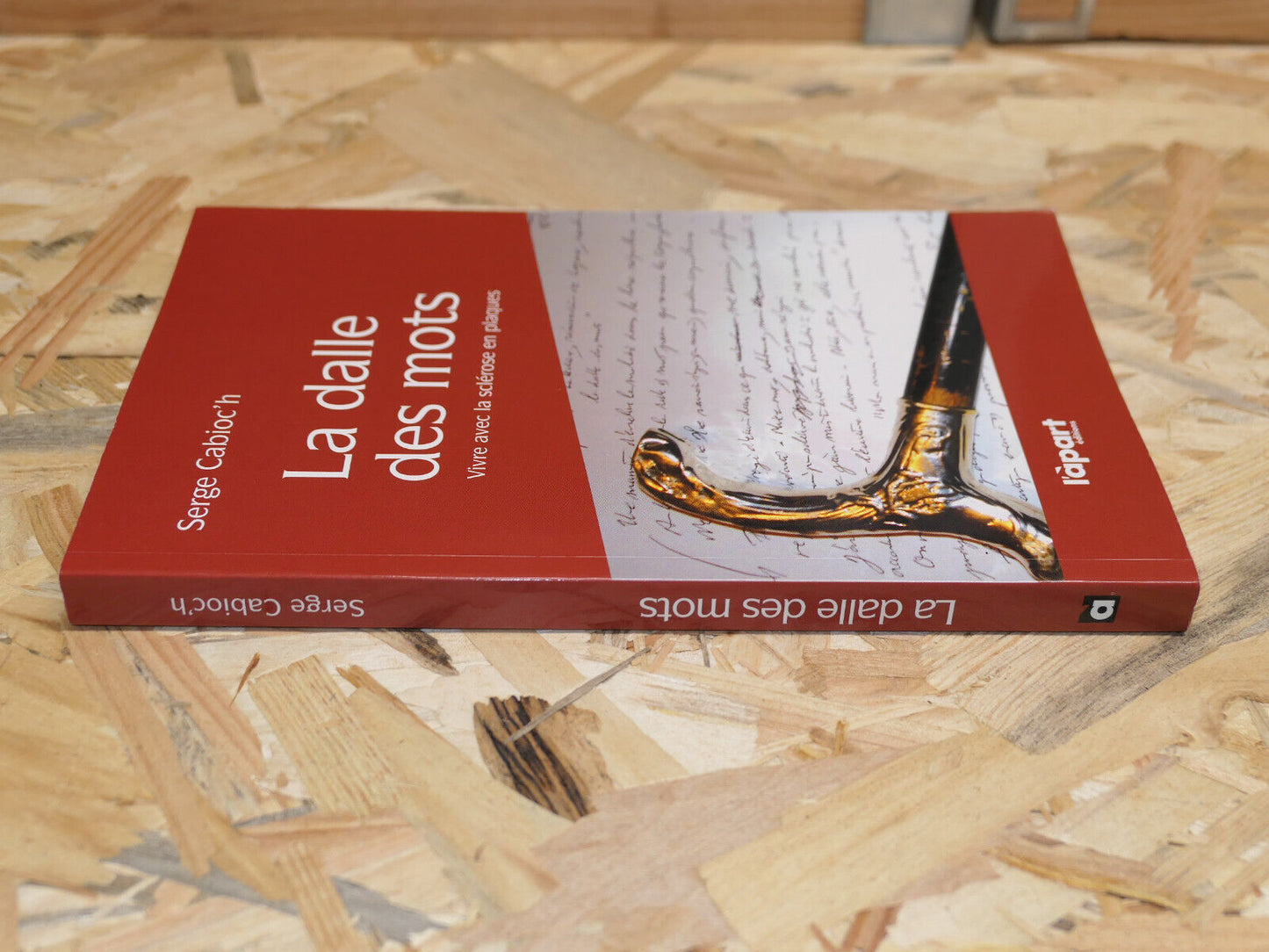 LA DALLE DES MOTS VIVRE AVEC LA SCLEROSE EN PLAQUES SERGE CABIOC'H TEMOIGNAGE