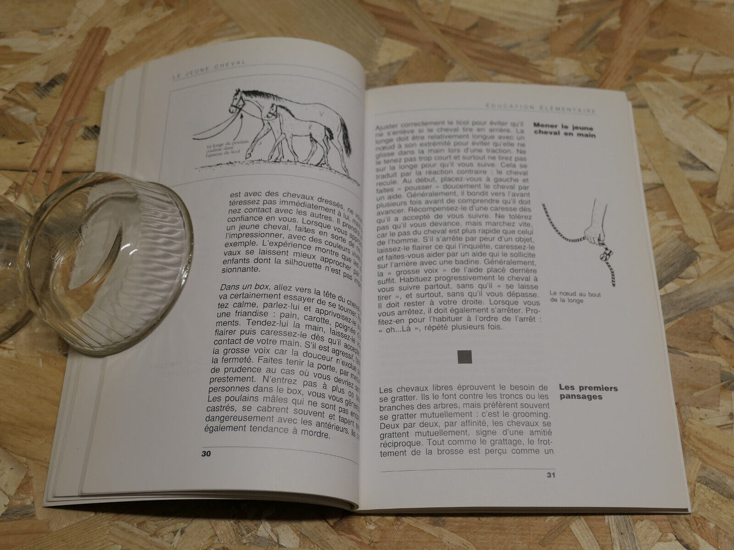 LE JEUNE CHEVAL EDUCATION DEBOURRAGE DRESSAGE ELEMENTAIRE METHODE / MALOINE 1995