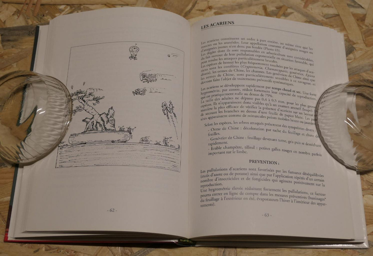 VOS BONSAI EN PLEINE FORME SANTE MALADIES PARASITES TRAITEMENTS MANUEL PRATIQUE