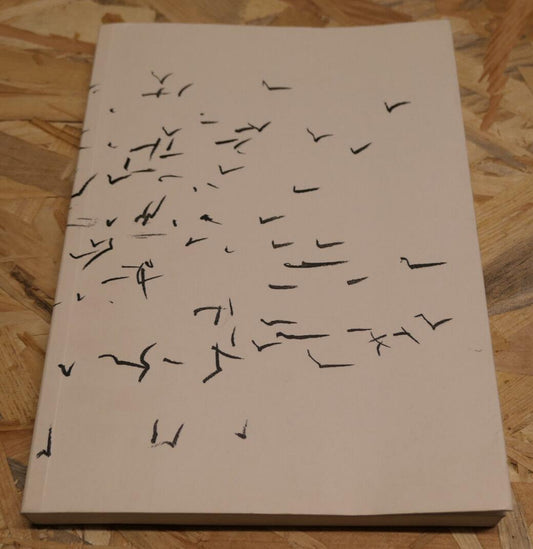 LA FUNDACIO ANTONI TAPIES BARCELONE / ART CONTEMPORAIN GRAPHISME PEINTURE / 2012