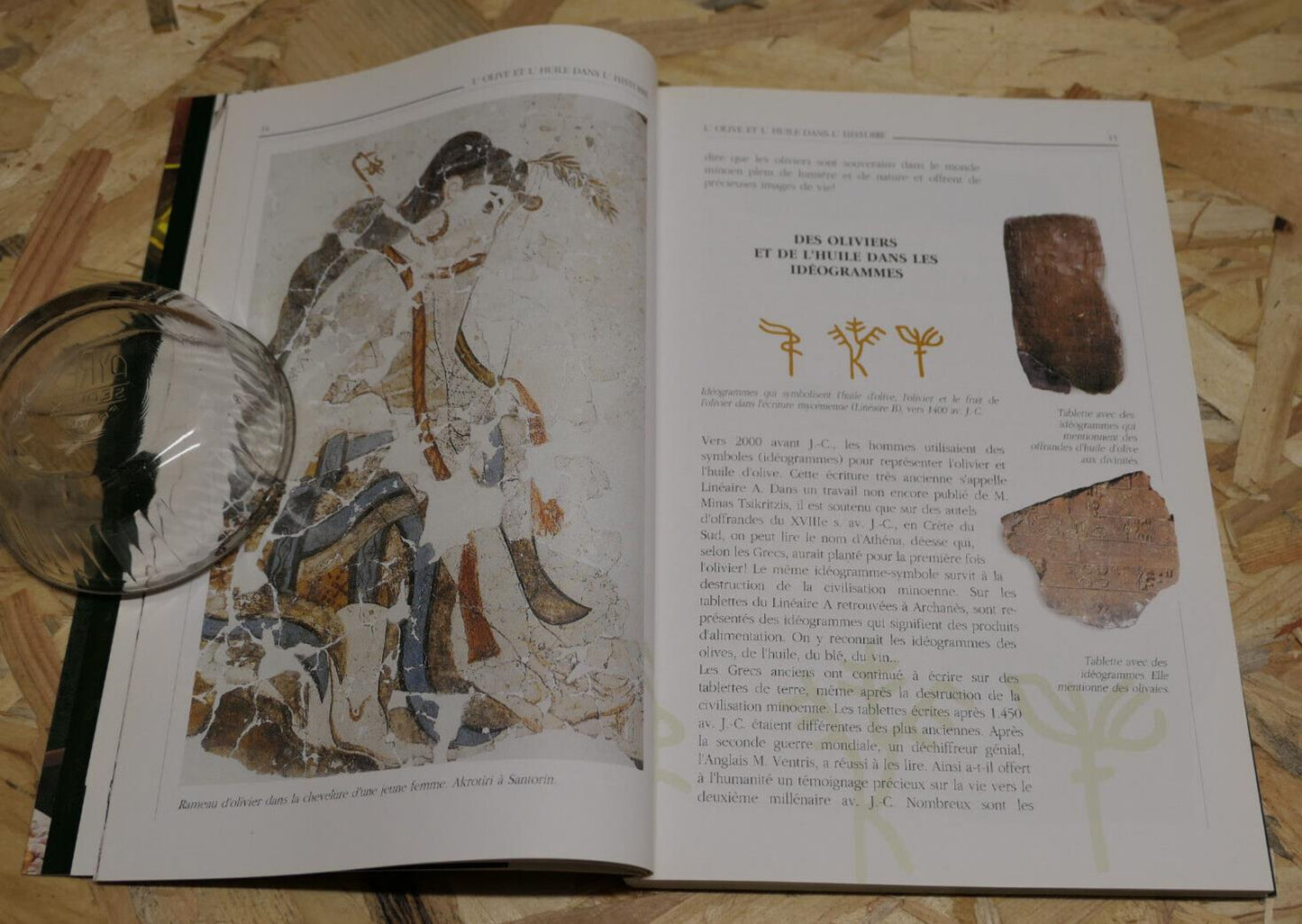 LA CIVILISATION DE L'OLIVIER HUILE D'OLIVE / 150 RECETTES SANTE CUISINE GRECQUE