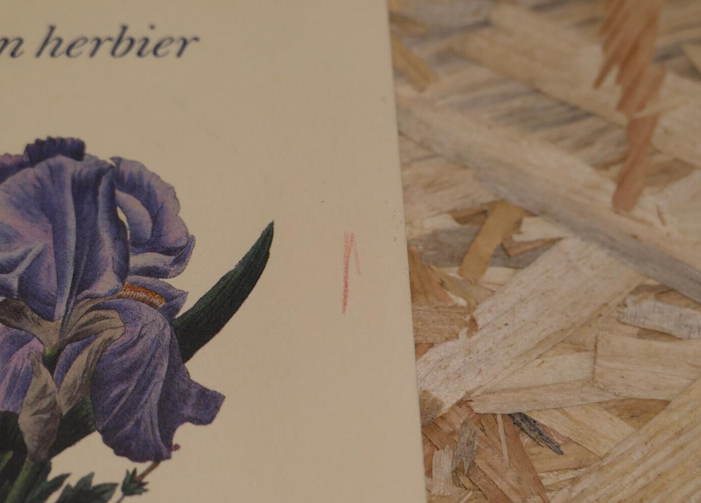 COLETTE / POUR UN HERBIER / FAYARD 1991