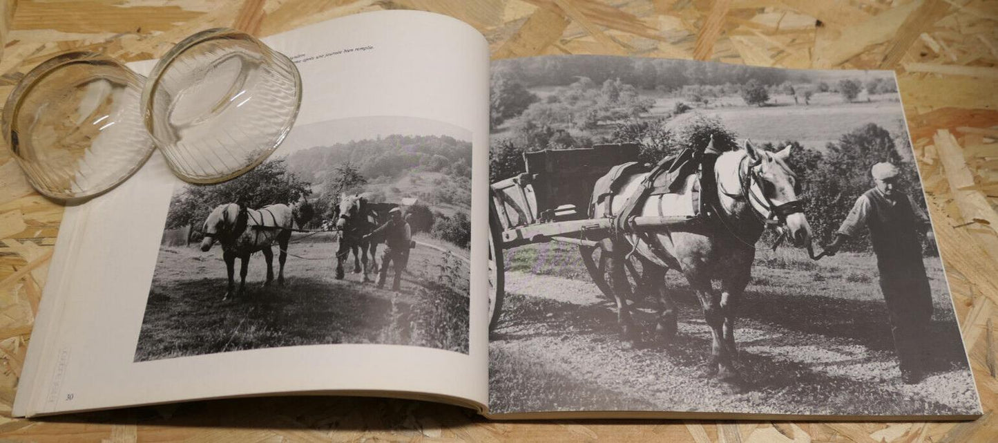 LE CHEVAL EN PAYS D'AUGE / NORMANDIE PHOTOS EQUITATION COURSES HIPPIQUES / 1986