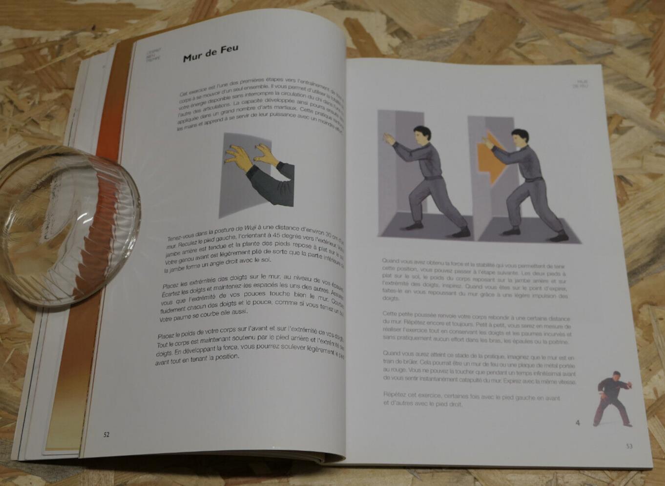 Le Pouvoir Du Chi (Qi) - Lam Kam Chuen - Énergie Développement Personnel - 2005