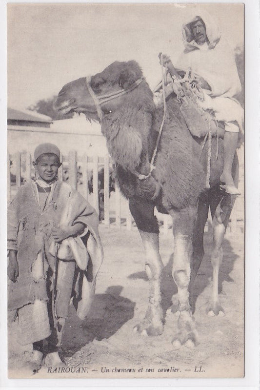 Carte Postale Ancienne CPA Tunisie - Kairouan - Un Chameau Et Son Cavalier