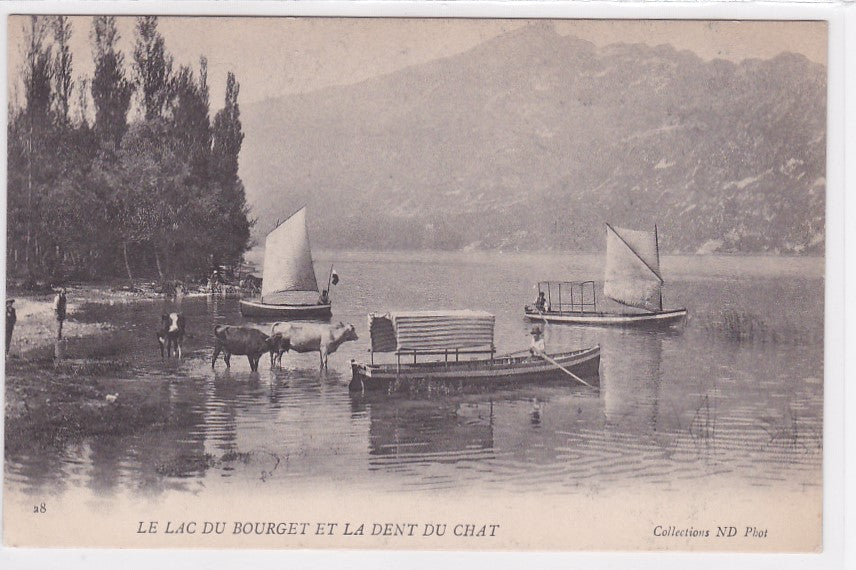 Carte Postale Ancienne CPA 73 - Le Lac Du Bourget Et La Dent Du Chat