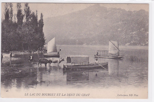 Carte Postale Ancienne CPA 73 - Le Lac Du Bourget Et La Dent Du Chat