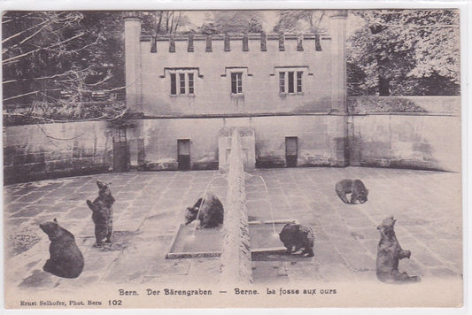 Old Postcard CPA Switzerland - Bern - The Bear Pit