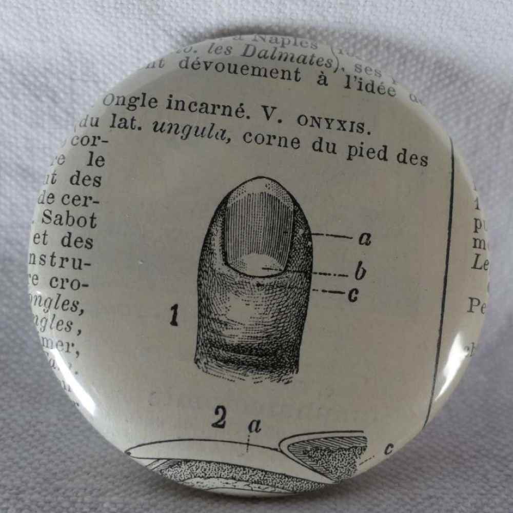 Ongle - Badge Encyclopédique Original - Gravure Ancienne