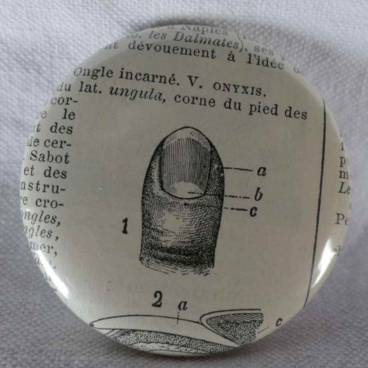 Ongle - Badge Encyclopédique Original - Gravure Ancienne