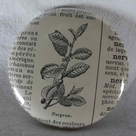 Nerprun - Badge Encyclopédique Original - Ancienne Gravure