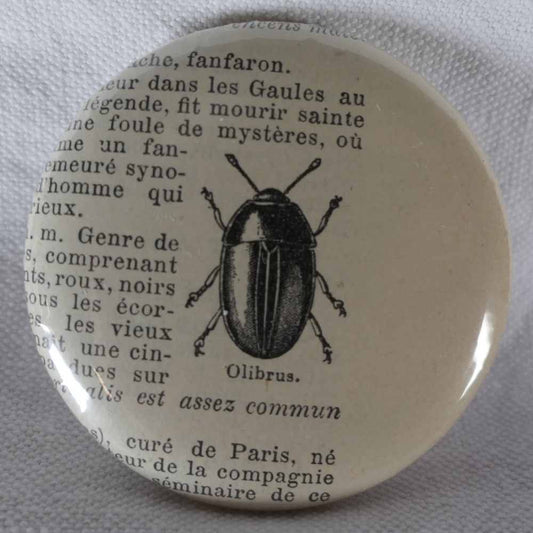 Olibrus - Badge Encyclopédique Original - Ancienne Gravure