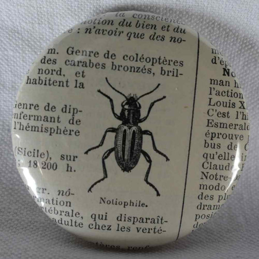 Notiophile - Badge Encyclopédique Original - Ancienne Gravure