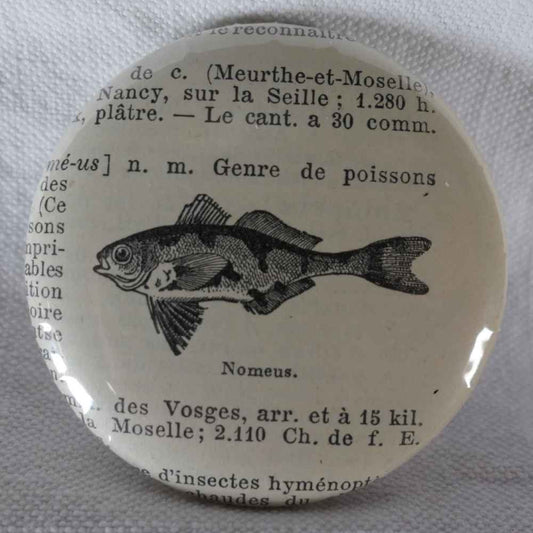 Nomeus - Badge Encyclopédique Original - Ancienne Gravure