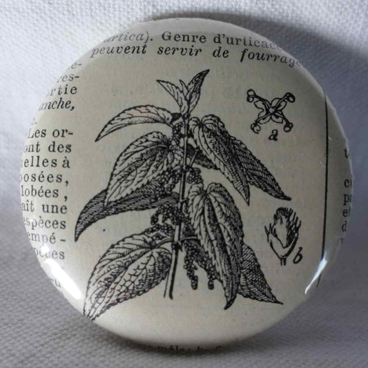 Orthopedics - Original Encyclopedic Badge - Antique Engraving