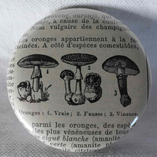 Champignon Oronge - Badge Encyclopédique Original - Ancienne Gravure