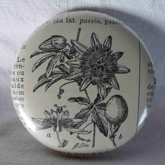Passiflore - Badge Encyclopédique Original - Ancienne Gravure