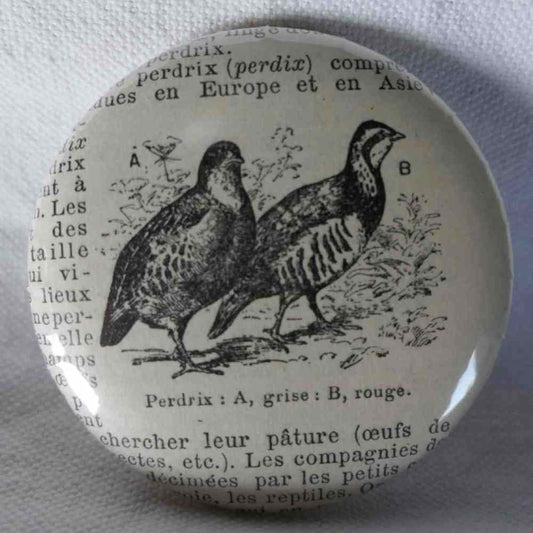 Perdrix - Badge Encyclopédique Original - Gravure Ancienne
