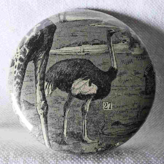 Autruche - Badge Encyclopédique Original - Ancienne Gravure