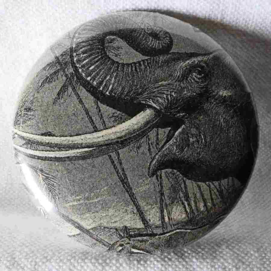 Éléphant - Badge Encyclopédique Original - Ancienne Gravure