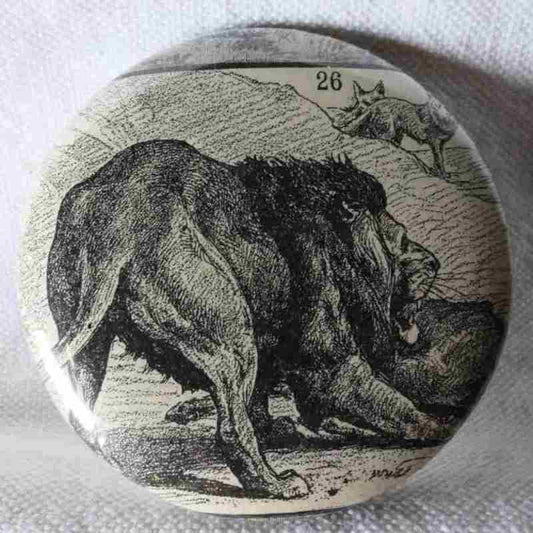 Lion - Badge Encyclopédique Original - Ancienne Gravure