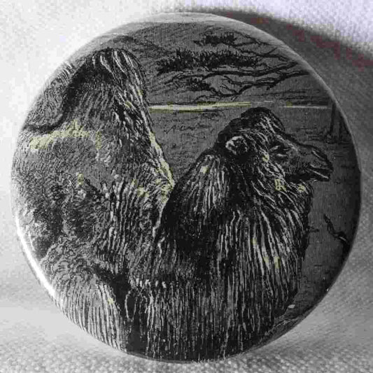 Chameau - Badge Encyclopédique Original - Ancienne Gravure