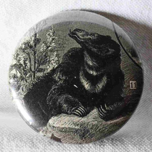 Ours À Grandes Lèvres - Badge Encyclopédique Original - Gravure Ancienne