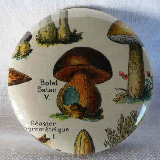 Bolet Satan - Badge Encyclopédique Original - Ancienne Gravure
