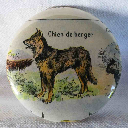 Chien De Berger - Badge Encyclopédique Original - Ancienne Gravure