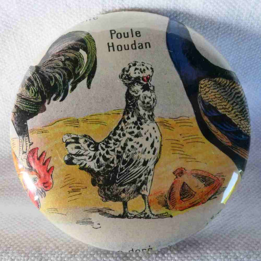 Poule Houdan - Badge Encyclopédique Original - Ancienne Gravure
