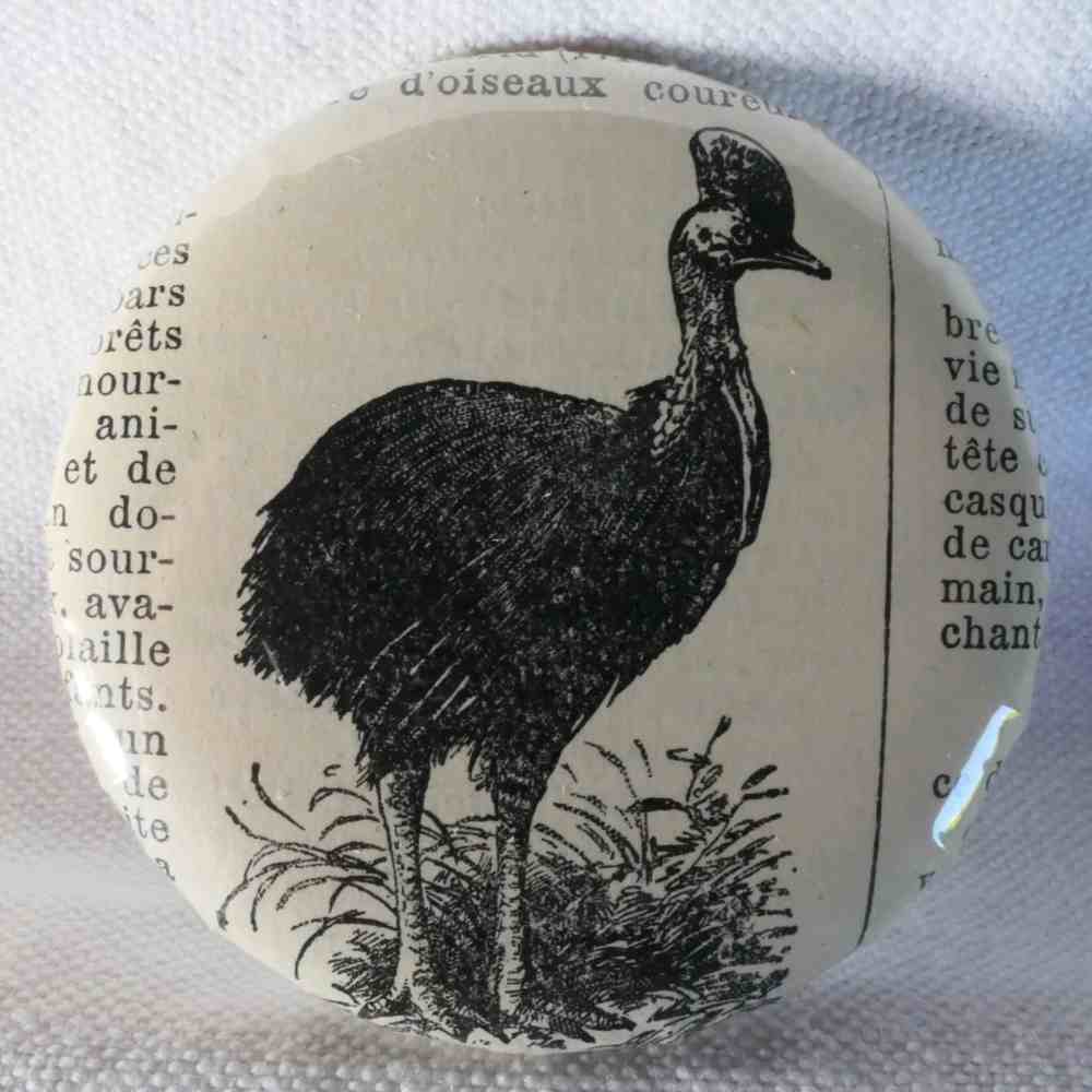 Casoar - Badge Encyclopédique Original - Ancienne Gravure