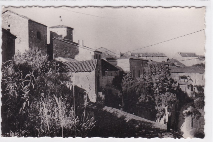 Carte Postale Semi-Moderne CPSM 47 Laroque-Timbaut - Le Vieux Laroque