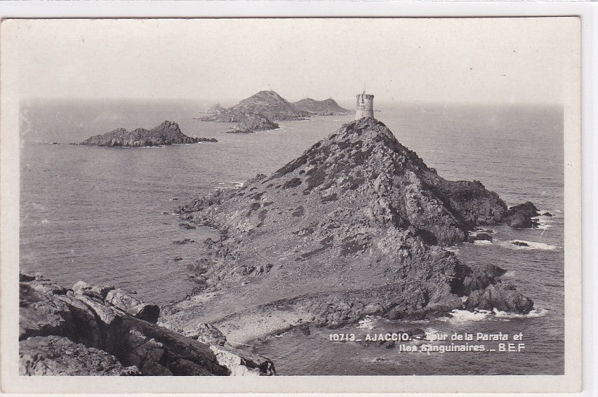 Carte Postale Semi-Moderne CPSM Ajaccio - Tour De La Parata Et Îles Sanguinaires