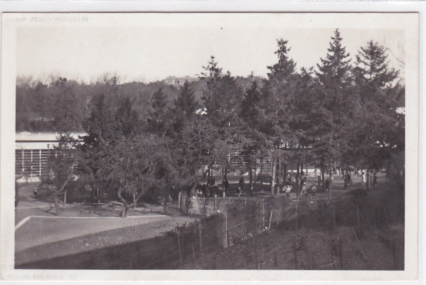 Carte Postale Ancienne CPA Suresnes - École De Plein Air Permanente - Le Jardin