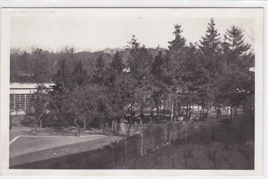 Carte Postale Ancienne CPA Suresnes - École De Plein Air Permanente - Le Jardin