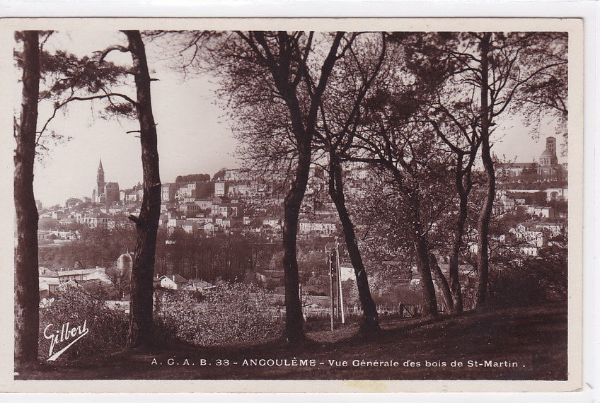 Carte Postale Ancienne CPA Angoulême - Vue Générale Des Bois De St-Martin