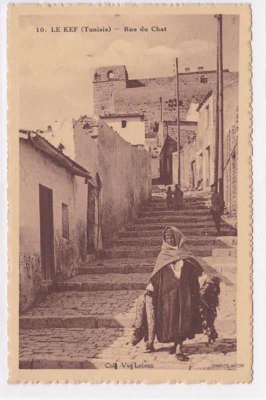 Carte Postale Ancienne CPA Afrique - Tunisie - Le Kef - Rue Du Chat