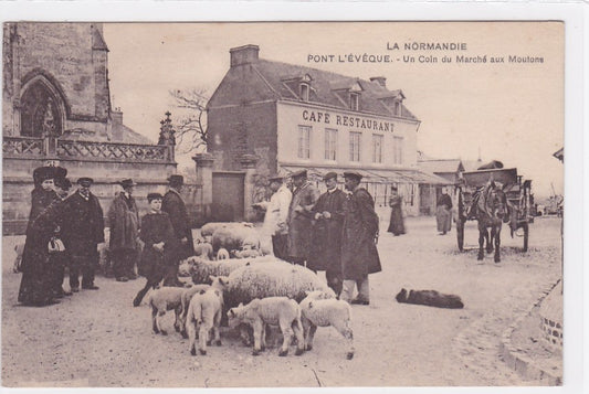 Carte Postale Ancienne CPA 14 - Pont-L'Évêque - Un Coin Du Marché Aux Moutons