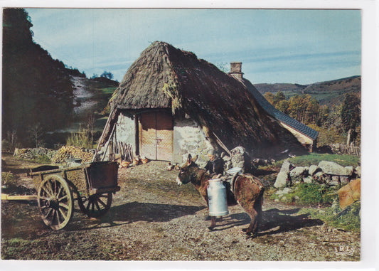 Carte Postale CPSM En Auvergne - Vieux Buron Au Toit De Chaume