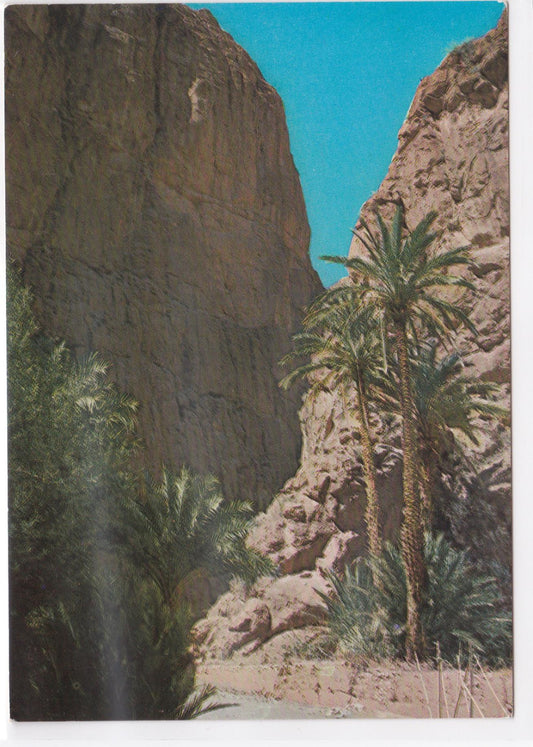 Carte Postale CPM Afrique - Maroc - Les Gorges Du Todra