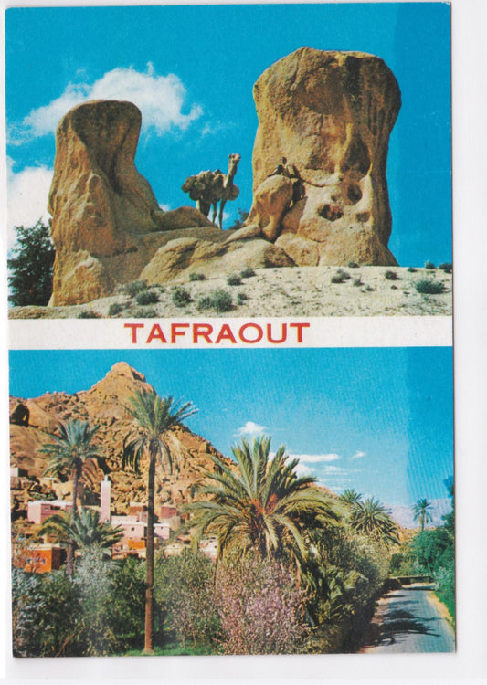 Carte Postale CPM Tafraout - Chameau Dans Les Rochers Village Dans La Palmeraie
