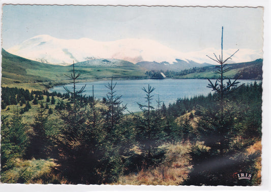 Carte Postale CPSM 63 Lac De Guery - Au Fond Le Massif Du Sancy