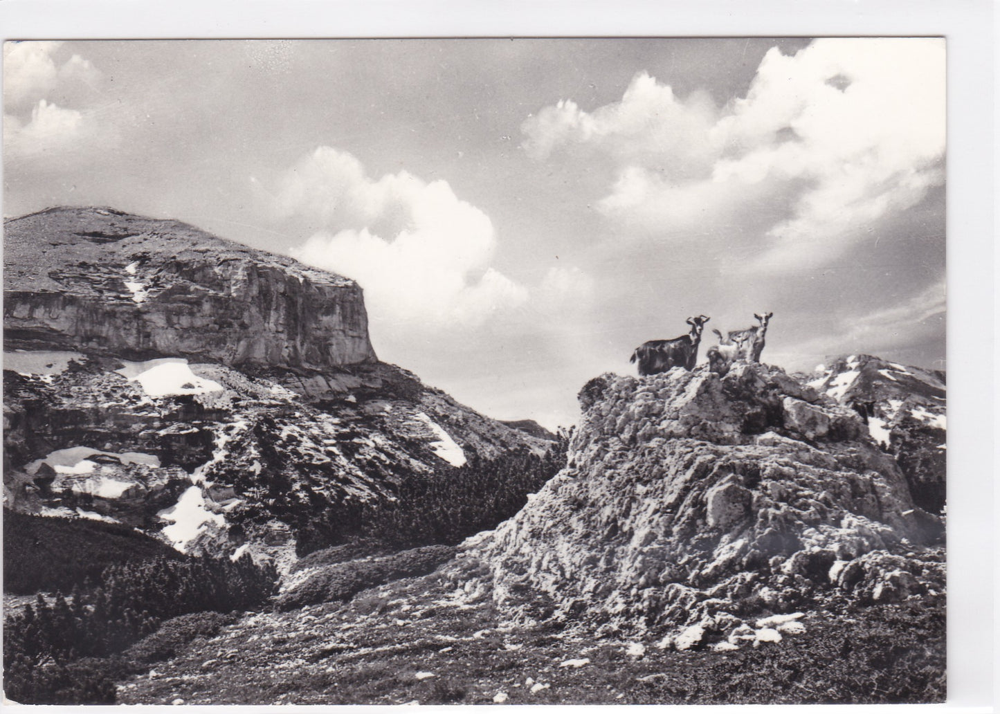 Carte Postale CPSM Italy - Albergo La Maielletta - Unghia Del Focalone