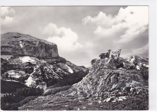Carte Postale CPSM Italy - Albergo La Maielletta - Unghia Del Focalone