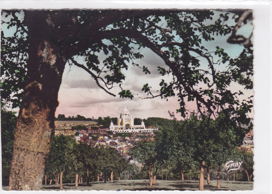 Carte Postale CPSM 14 Lisieux - Vue Générale Et La Basilique