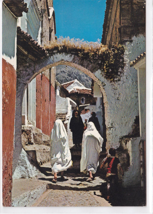 Carte Postale CPSM Afrique - Maroc - Marruecos Tipico - Medina