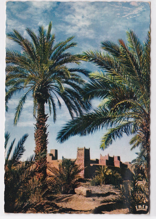 Carte Postale CPSM Afrique - Sud Marocain - Un Ksour Dans La Vallée Du Draâ