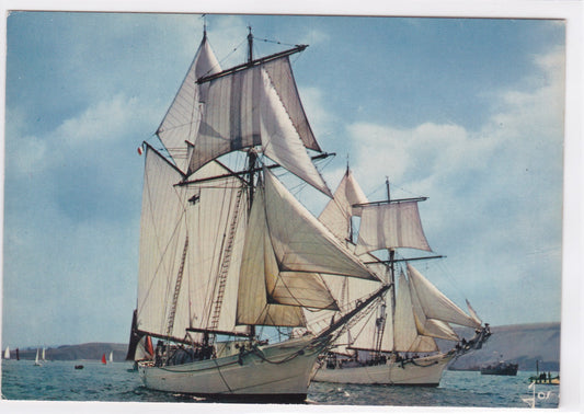 Carte Postale CPM 29 Bretagne Goélettes Marine Nationale L'Étoile Belle Poule