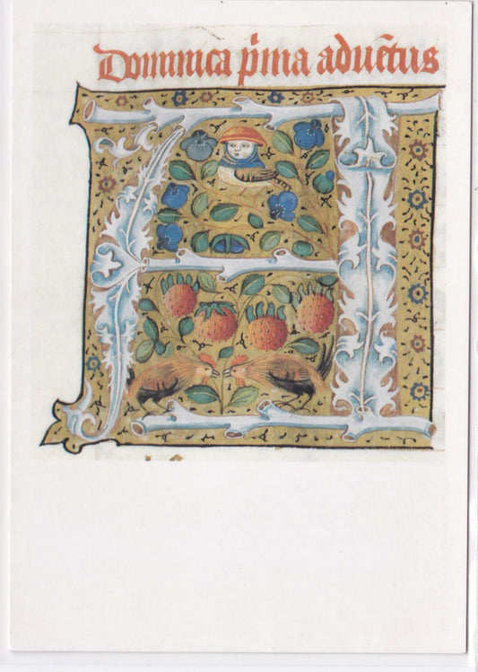 Carte Postale CPM 27 Bibliothèque D'Évreux - Lettre Ornée Dans Un Missel XVe S.